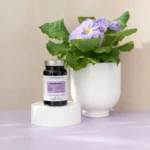 Ménopause + - Complément Alimentaire – Image 2