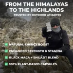 Capsules d'extrait pur Shilajit UK - Ashwagandha & Shilajit. – Image 2